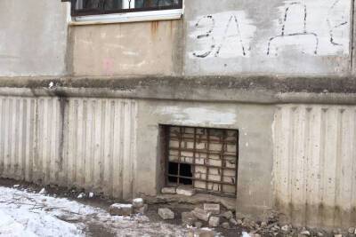 В подвале многоэтажки в Канищеве замуровали собаку