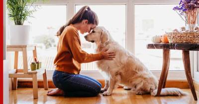 Лучшие друзья: 5 самых добрых пород собак