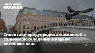 Синоптики предупредили москвичей о сильном похолодании в первую весеннюю ночь