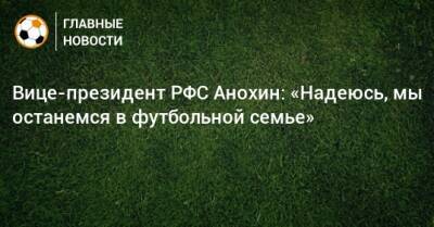 Вице-президент РФС Анохин: «Надеюсь, мы останемся в футбольной семье»