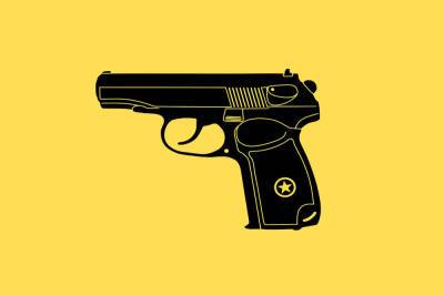 В Мирном немирный гражданин схватился за пистолеты