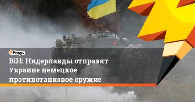 Bild: Нидерланды отправят Украине немецкое противотанковое оружие