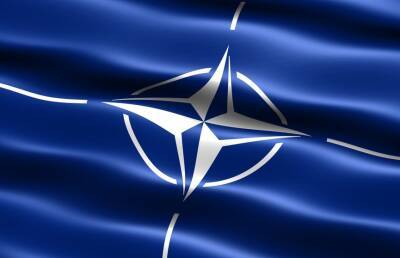 Гражданская инициатива о вступлении в НАТО поступила в парламент Финляндии