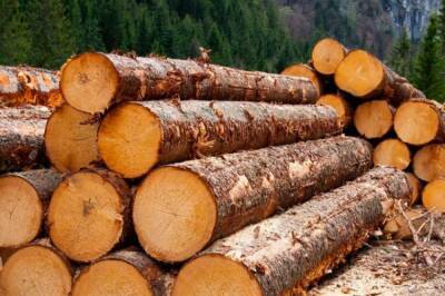 Лесозаготовщика в Хабаровском крае наказали за нарушение хранения бревен