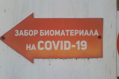 В Саратовской области ежедневно проводят от 7,5 до 13 тысяч исследований на коронавирус