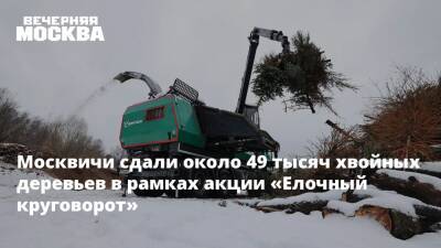 Москвичи сдали около 49 тысяч хвойных деревьев в рамках акции «Елочный круговорот»