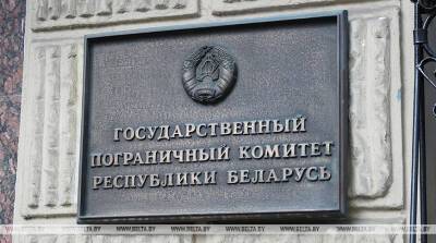 ГПК: граждане Украины составили большую часть въехавших за минувшие сутки в Беларусь