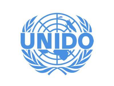 В UNIDO рассказали об инициативах для поддержки сферы энергетики Грузии