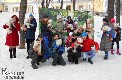 В Рязани прошла встреча владельцев собак породы вест хайленд уайт терьер и их питомцев «Вестик-Фестик»