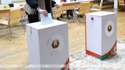 Любецкая: высокий интерес граждан к референдуму - желание обеспечить стабильную жизнь