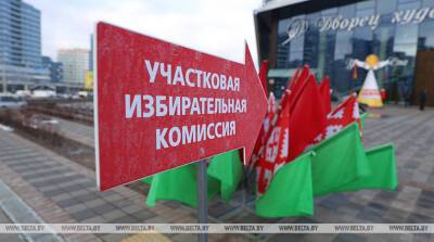 Наблюдатель от СНГ: в Беларуси проведена качественная работа по подготовке референдума