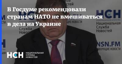 В Госдуме рекомендовали странам НАТО не вмешиваться в дела на Украине