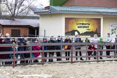 Ростовский-на-Дону зоопарк посетят более 300 детей из ДНР и ЛНР - DONTR.RU