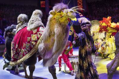 Шоу Песчаная сказка в нижегородском цирке продлевается по просьбам зрителей