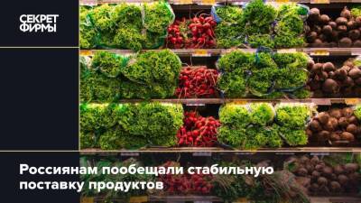 Россиянам пообещали стабильную поставку продуктов