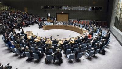 Ряд стран запросили заседание СБ ООН по вопросу гуманитарного кризиса на Украине