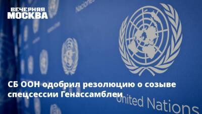 СБ ООН одобрил резолюцию о созыве спецсессии Генассамблеи