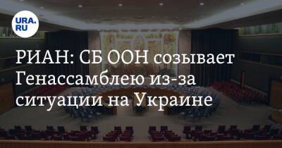 РИАН: СБ ООН созывает Генассамблею из-за ситуации на Украине
