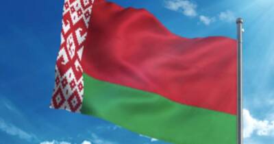 ЦИК Белоруссии: 65,16% жителей одобрили поправки в Конституцию