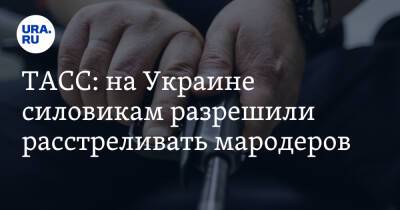 ТАСС: на Украине силовикам разрешили расстреливать мародеров