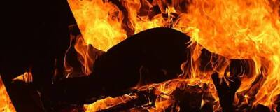 В Омске на пожаре погиб 4-летний ребёнок