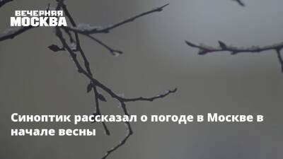 Синоптик рассказал о погоде в Москве в начале весны