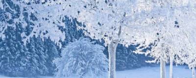 Начавшийся утром 28 февраля снегопад в Омской области продлится до обеда