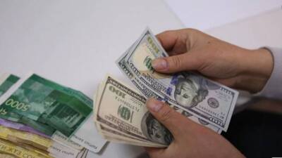 Курс доллара в Новосибирске составил 250 рублей 28 февраля