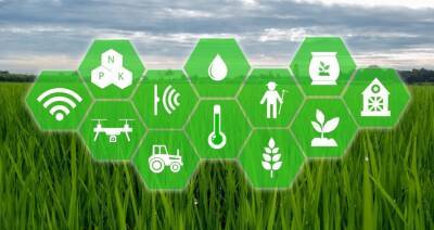 Цифровизация и точное земледелие: Беларусь внедряет новые технологии в сельское хозяйство