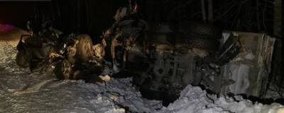 В Красноярском крае в ДТП с грузовиком погибли три человека