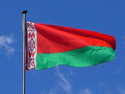 Референдум по Конституции Беларуси дал "нужные" итоги