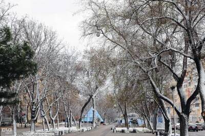 В Краснодарском крае в ближайшие дни ожидается +12 градусов