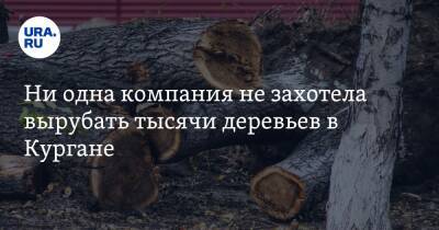 Вадим Шумков - Алексей Кокорин - Ни одна компания не захотела вырубать тысячи деревьев в Кургане - ura.news