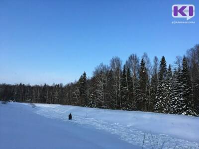 На реке Печора погиб рыбак