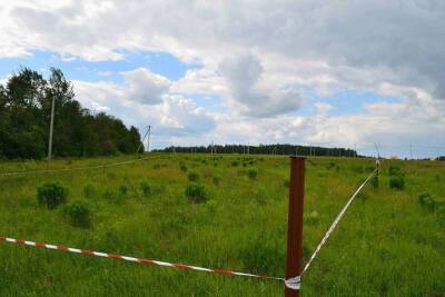 Семье из Тверской области дали участок без воды и электричества