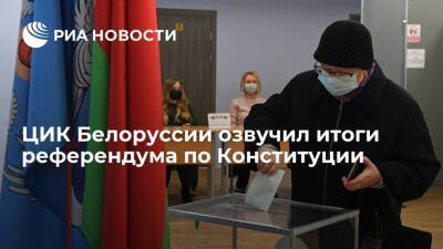 ЦИК Белоруссии: 65,16 процента граждан поддержали поправки в Конституцию