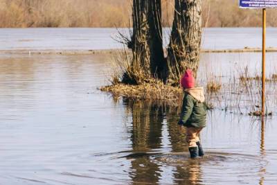 В Рязанской области поднялся уровень воды в реках