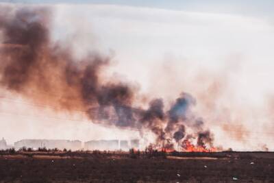 В Астраханской области снова горит камыш: что делать и кто виноват