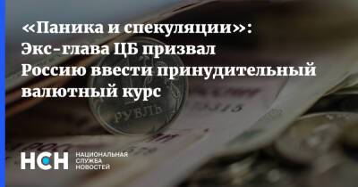 «Паника и спекуляции»: Экс-глава ЦБ призвал Россию ввести принудительный валютный курс