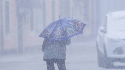 Синоптик Кубай спрогнозировал снегопады в Приморье в начале марта