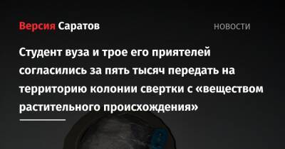 Студент вуза и трое его приятелей согласились за пять тысяч передать на территорию колонии свертки с «веществом растительного происхождения»