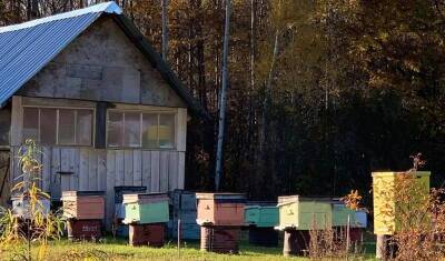 Вице-премьер Башкирии заявил о создании объединения ишимбайских пчеловодов
