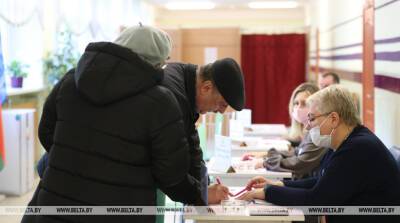Авдонин: явка на референдуме свидетельствует о готовности граждан нести ответственность за будущее страны