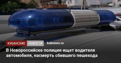 В Новороссийске полиция ищет водителя автомобиля, насмерть сбившего пешехода