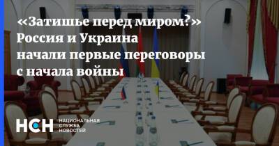 «Затишье перед миром?» Россия и Украина начали первые переговоры с начала войны