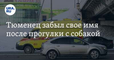 Тюменец забыл свое имя после прогулки с собакой