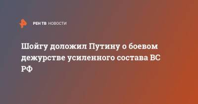 Шойгу доложил Путину о боевом дежурстве усиленного состава ВС РФ