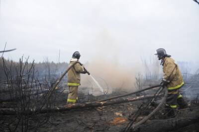 В Рязанской области утвердили план тушения лесных пожаров