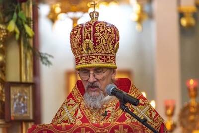 Митрополит Димитрий призвал молиться за братские народы России и Украины