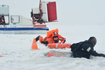 Тело провалившейся под лёд женщины достали в Воронежской области